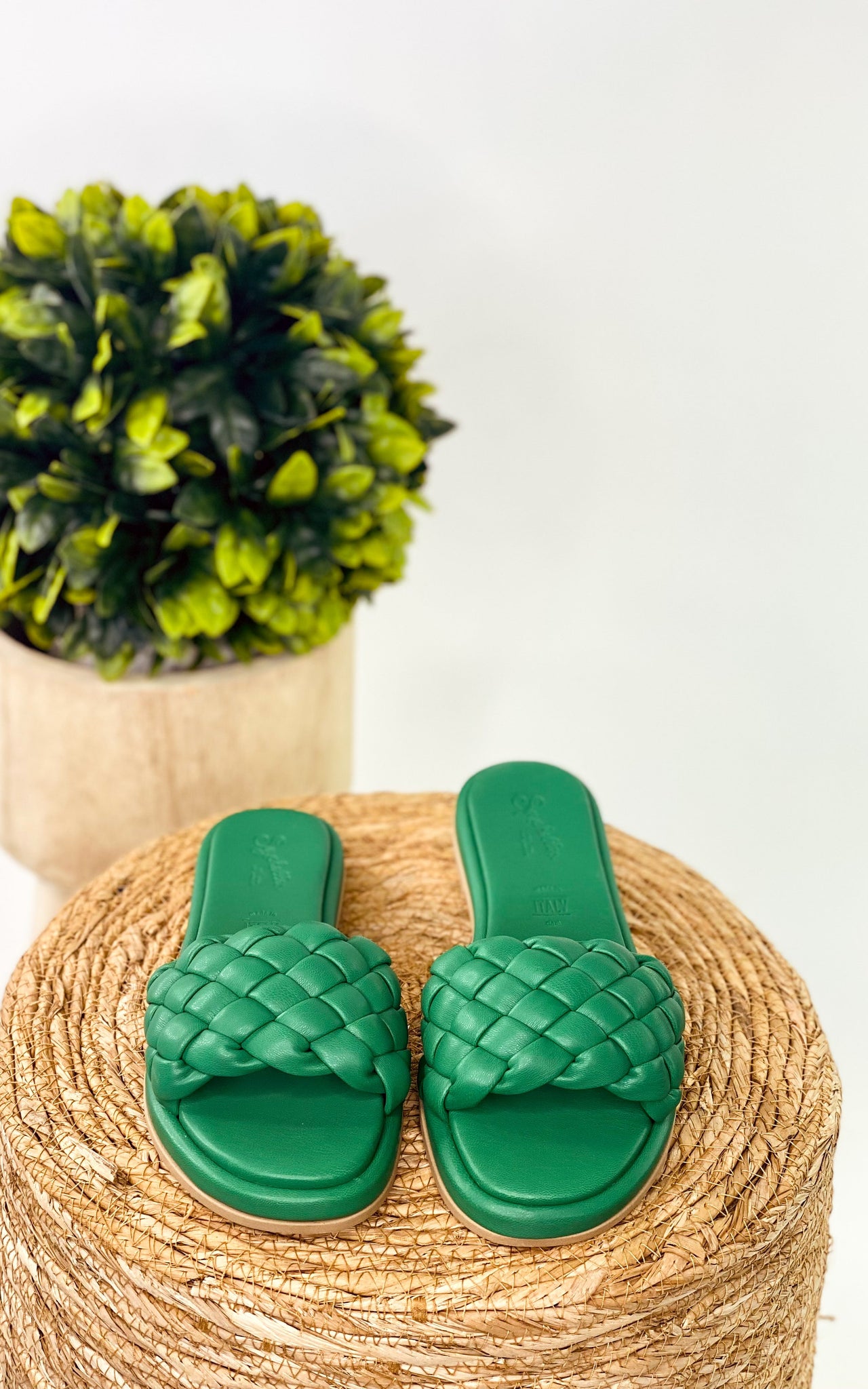 Seychelles Bellissima Slides in Green