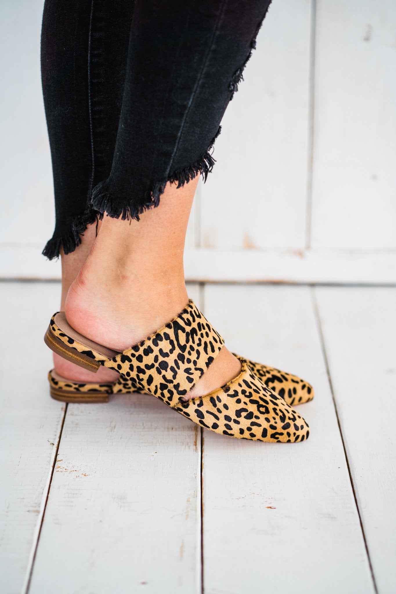 Matisse Berlin Shoe in Tan Spot
