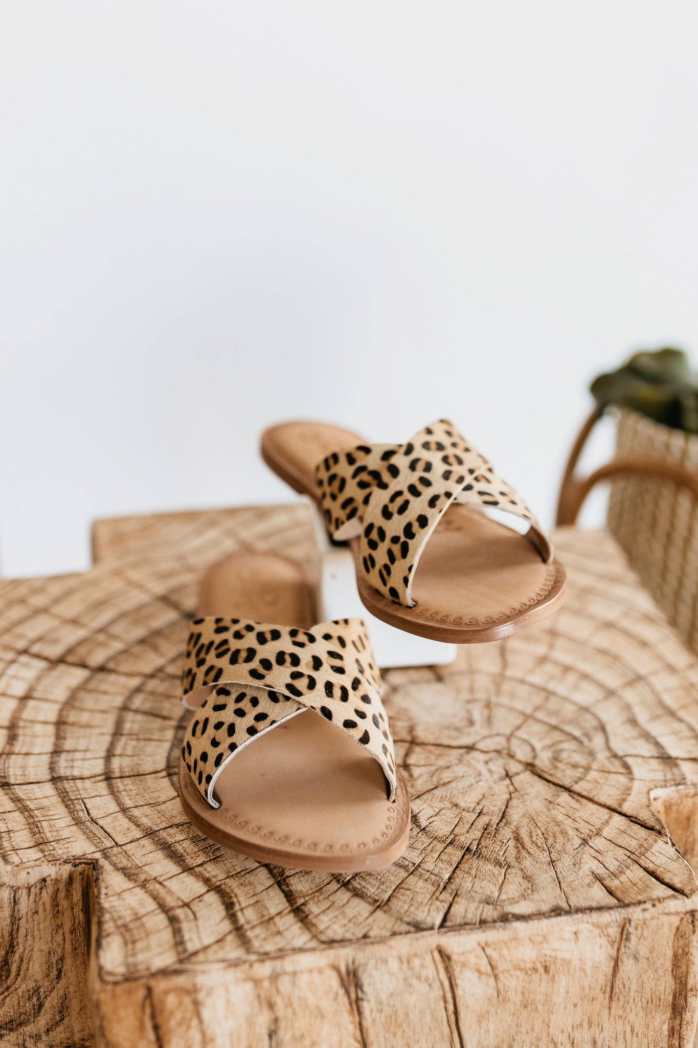 Naughty Monkey Caddo Sandals in Leopard