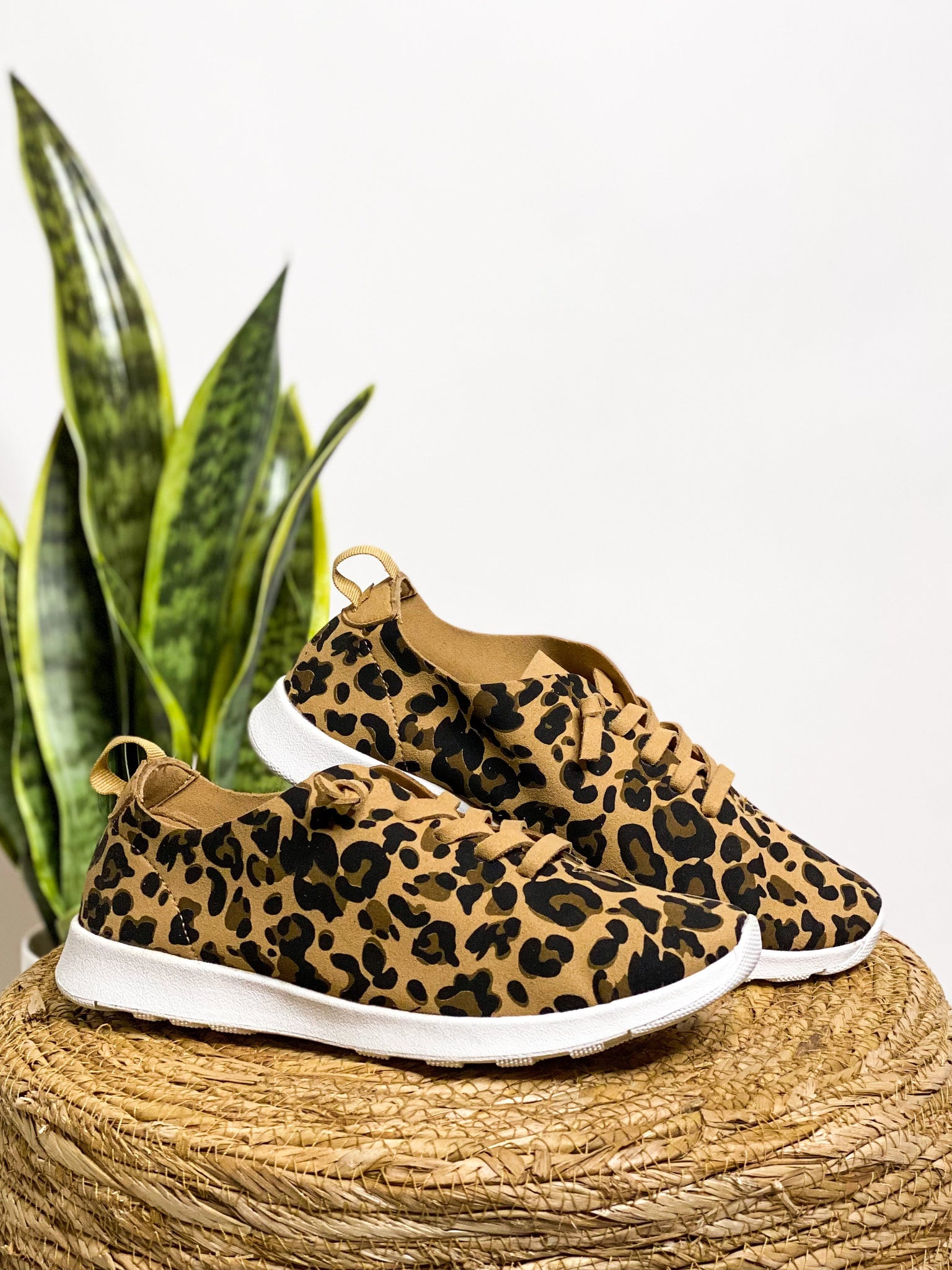 Not Rated Mayo Sneaker in Leopard