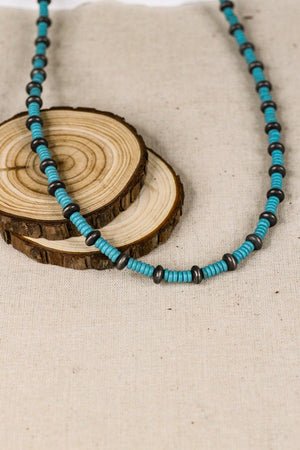 Long Turquoise and Faux Navajo Pearl Necklace