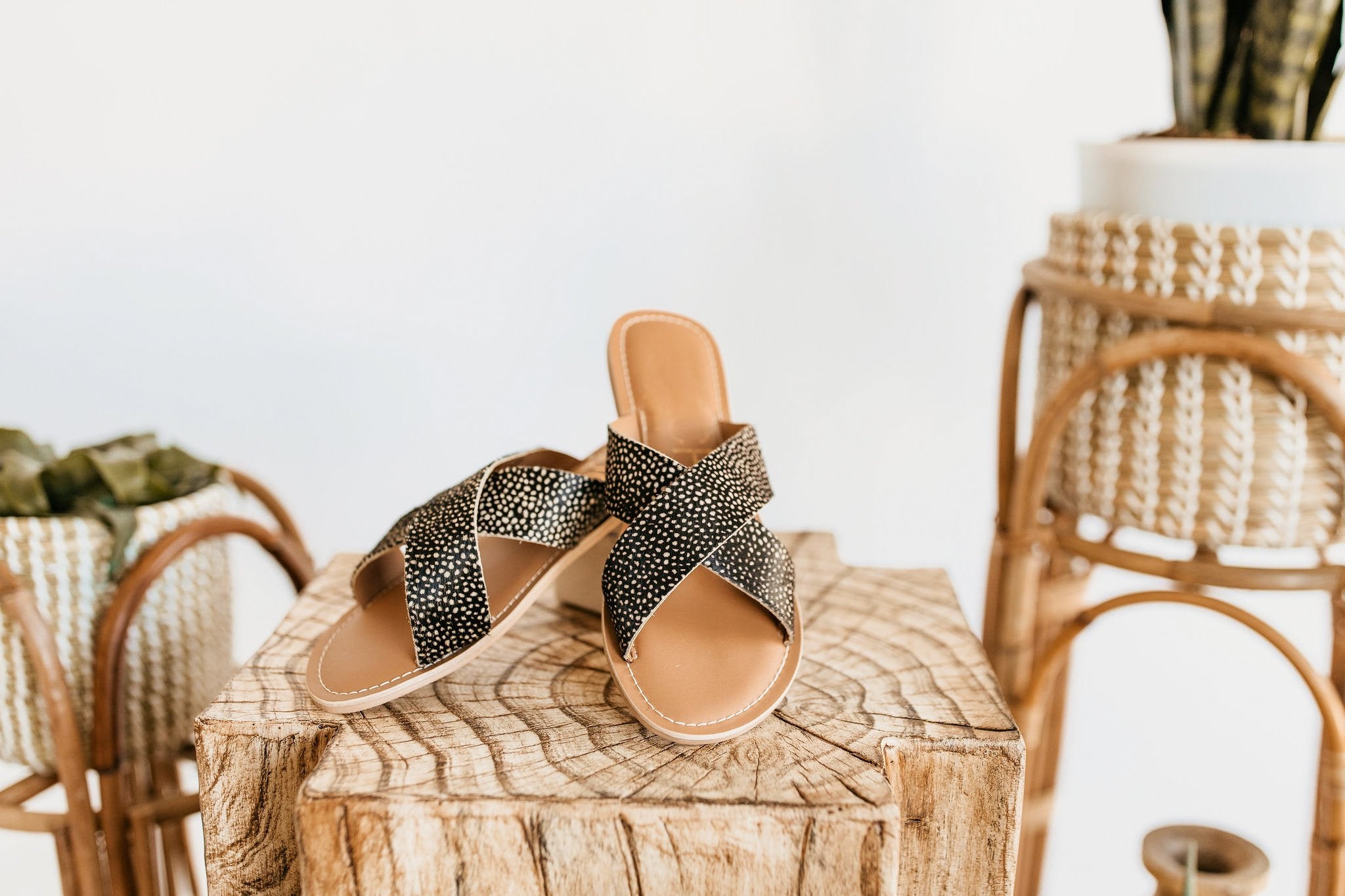 Matisse Pebble Sandal in Black Spot