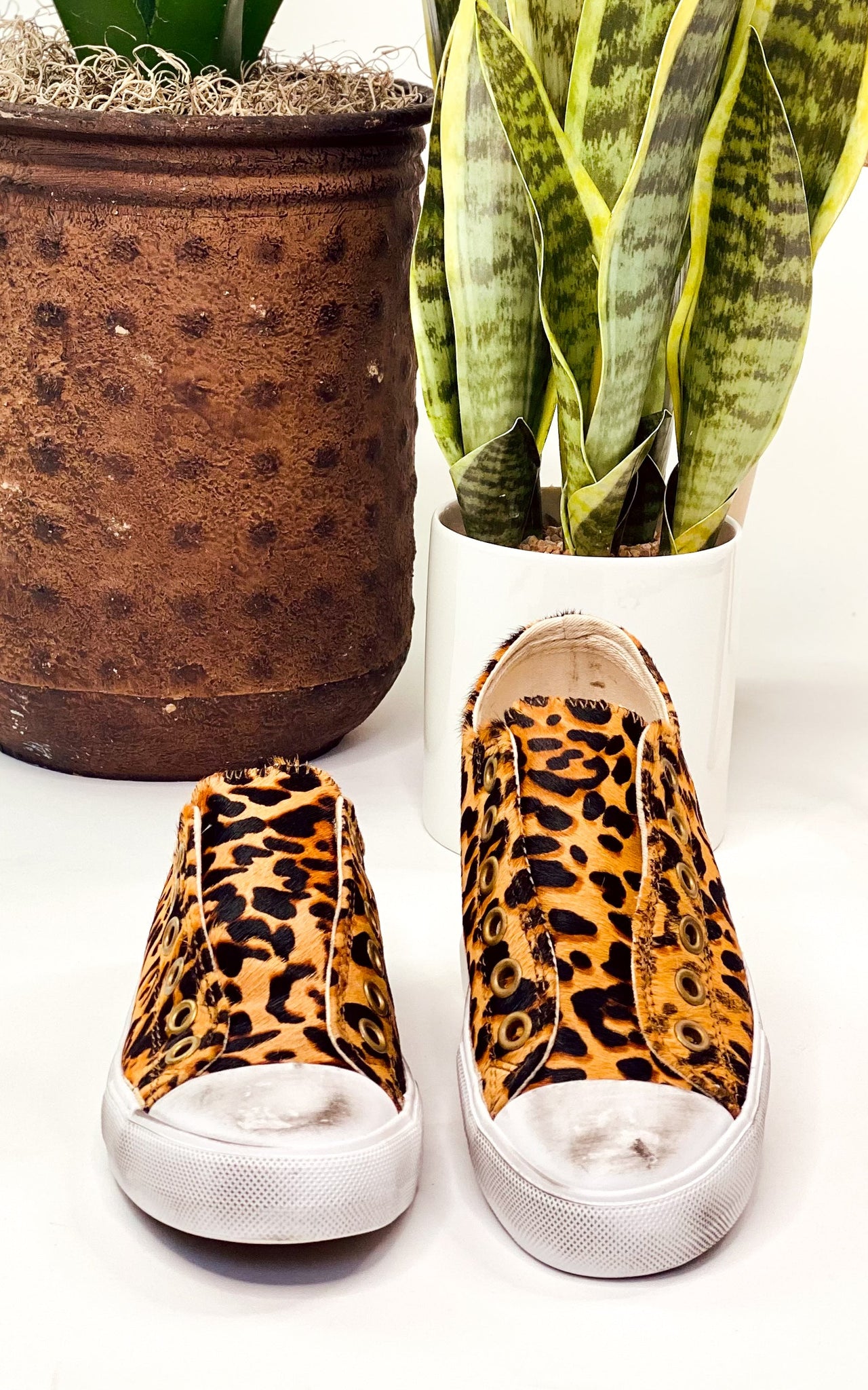 Naughty Monkey Shalomar in Leopard