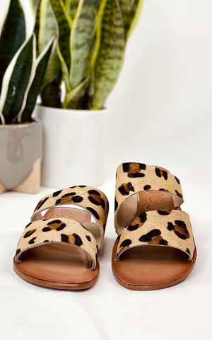 Naughty Monkey Spirited Sandals in Leopard